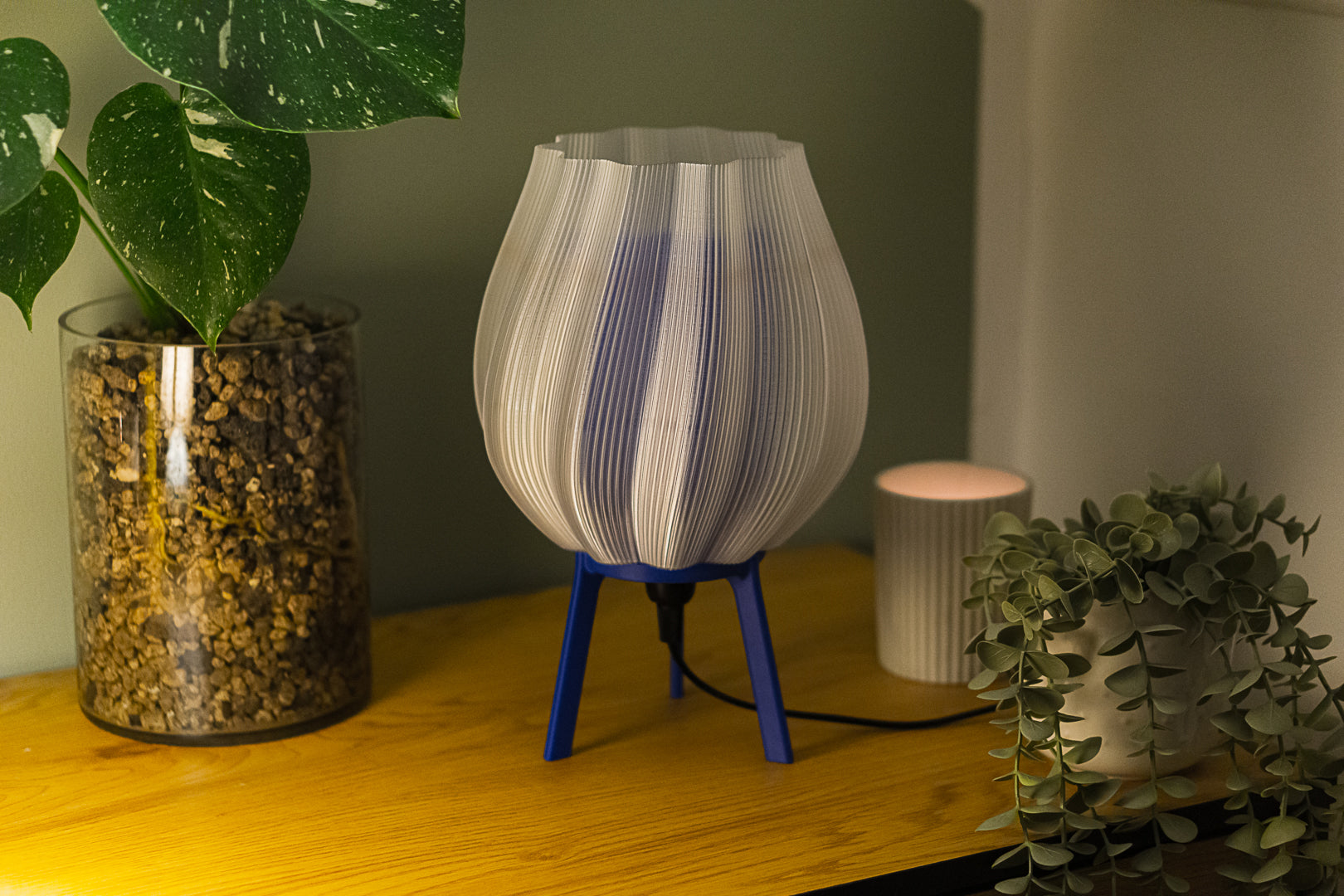 Tulpe - Clarity Blue