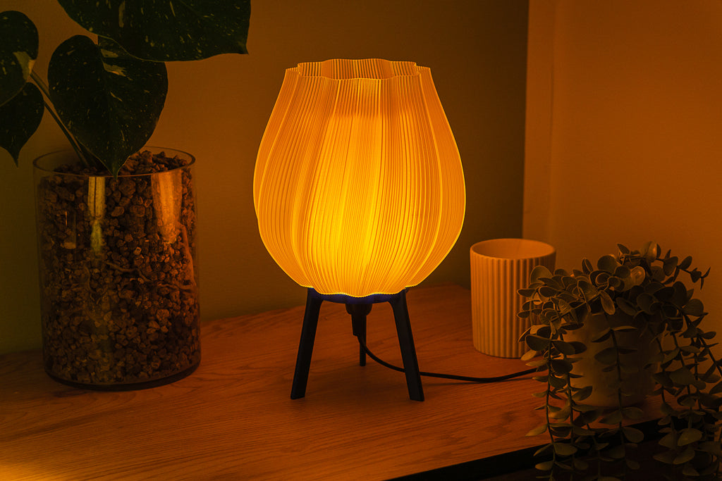 Tulpe - Clarity Yellow