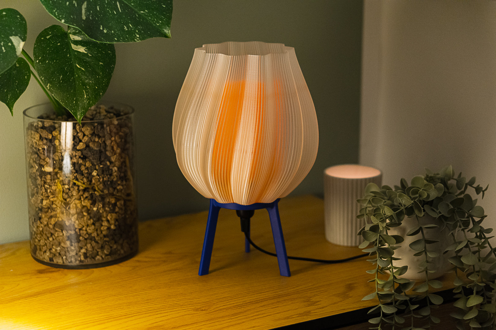 Tulpe - Clarity Orange
