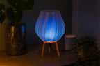 Tulpe - Clarity Blue