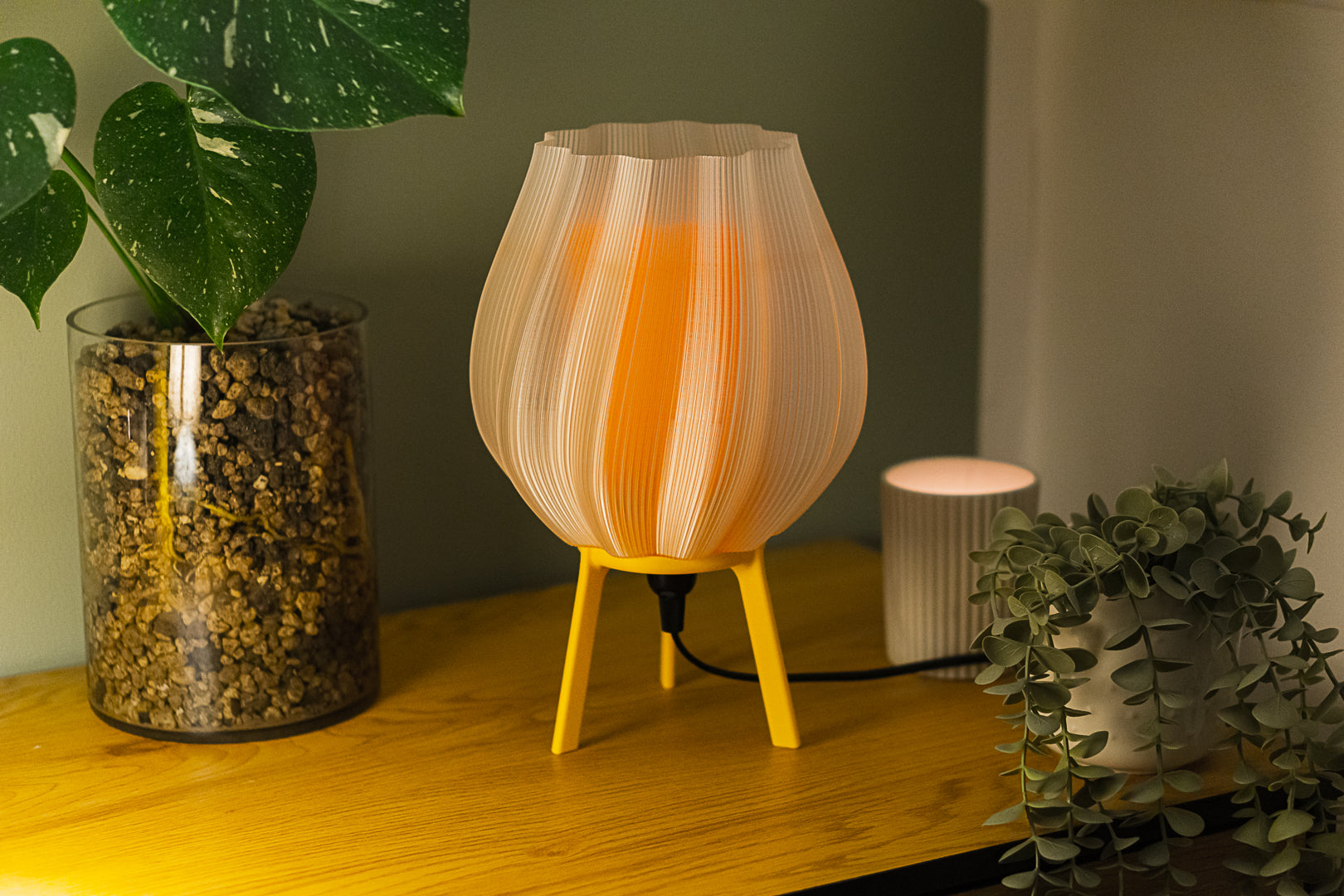 Tulpe - Clarity Orange