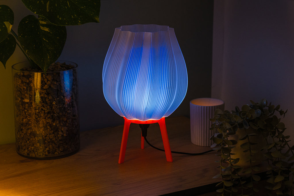 Tulpe - Clarity Blue