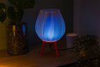 Tulpe - Clarity Blue