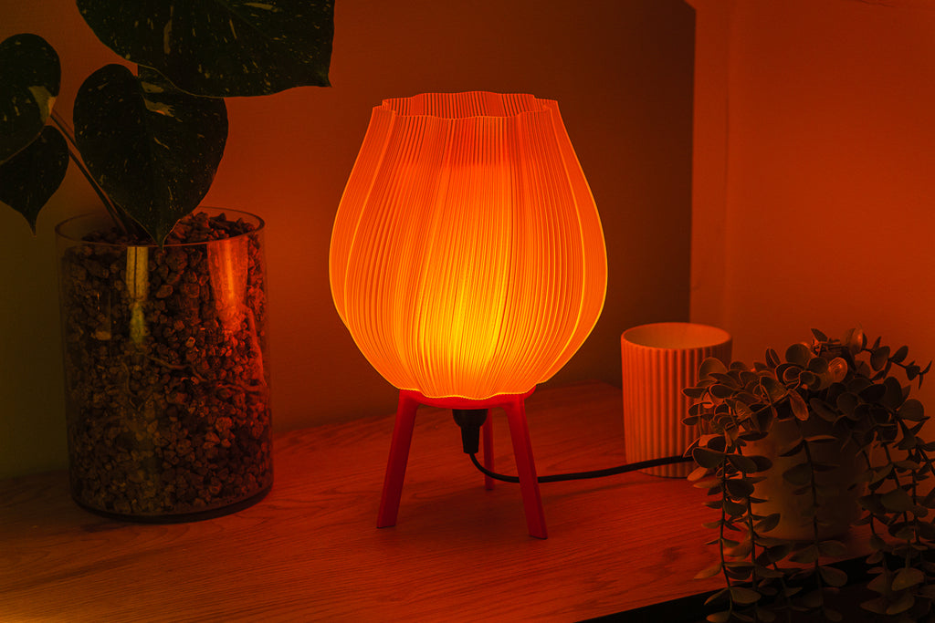 Tulpe - Clarity Orange