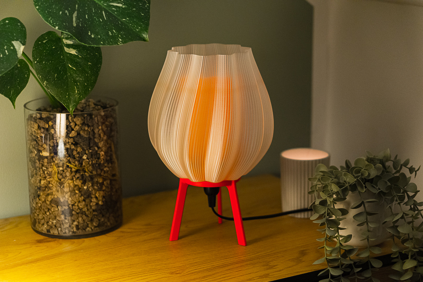 Tulpe - Clarity Orange
