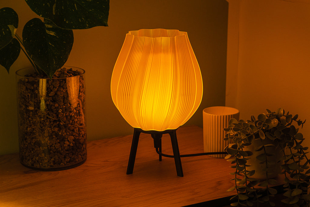 Tulpe - Clarity Yellow