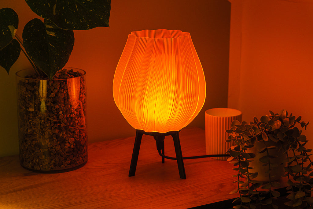 Tulpe - Clarity Orange