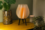 Tulpe - Clarity Orange